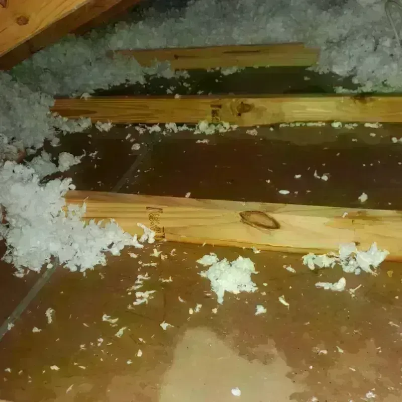 Attic Water Damage in Collinsville, IL