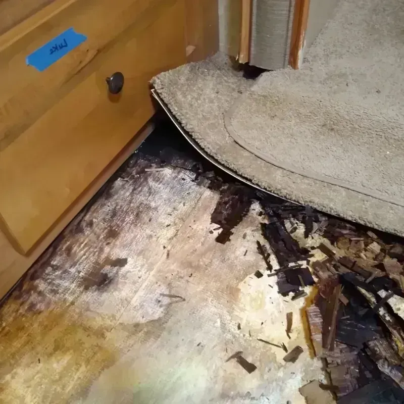 Wood Floor Water Damage in Collinsville, IL